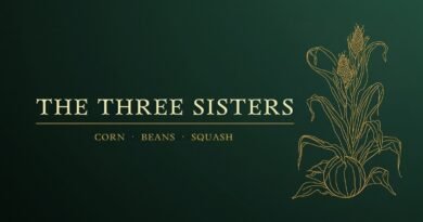 Editorial banner reading The Three Sisters, Corn Beans Squash, with a gold line drawing of corn, beans and squash on a deep green background.
